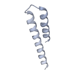 20142_6oo2_O_v1-2
Vps4 with Cyclic Peptide Bound in the Central Pore