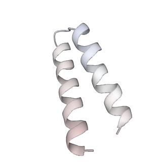 20142_6oo2_R_v1-2
Vps4 with Cyclic Peptide Bound in the Central Pore