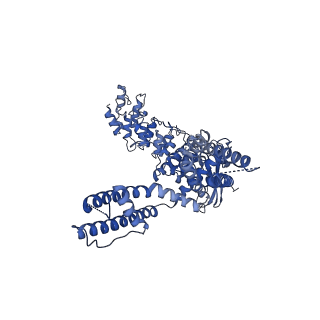 20143_6oo3_A_v1-1
Cryo-EM structure of the C4-symmetric TRPV2/RTx complex in amphipol resolved to 2.9 A