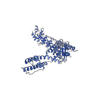 20143_6oo3_A_v1-2
Cryo-EM structure of the C4-symmetric TRPV2/RTx complex in amphipol resolved to 2.9 A