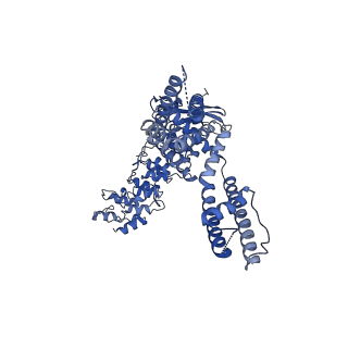 20143_6oo3_B_v1-1
Cryo-EM structure of the C4-symmetric TRPV2/RTx complex in amphipol resolved to 2.9 A
