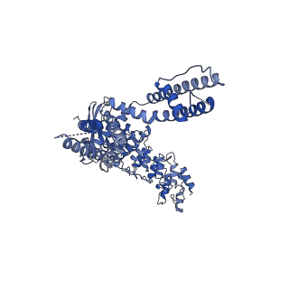 20143_6oo3_C_v1-1
Cryo-EM structure of the C4-symmetric TRPV2/RTx complex in amphipol resolved to 2.9 A