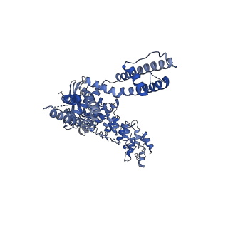 20143_6oo3_C_v1-2
Cryo-EM structure of the C4-symmetric TRPV2/RTx complex in amphipol resolved to 2.9 A