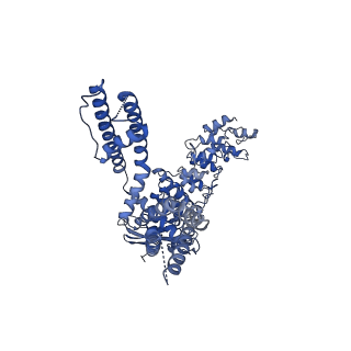20143_6oo3_D_v1-1
Cryo-EM structure of the C4-symmetric TRPV2/RTx complex in amphipol resolved to 2.9 A