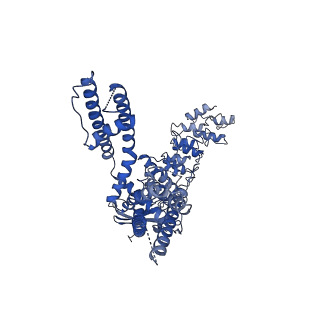 20145_6oo4_A_v1-1
Cryo-EM structure of the C2-symmetric TRPV2/RTx complex in amphipol resolved to 3.3 A