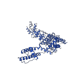 20145_6oo4_B_v1-1
Cryo-EM structure of the C2-symmetric TRPV2/RTx complex in amphipol resolved to 3.3 A