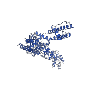 20145_6oo4_D_v1-1
Cryo-EM structure of the C2-symmetric TRPV2/RTx complex in amphipol resolved to 3.3 A