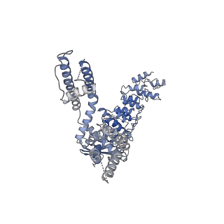 20146_6oo5_A_v1-1
Cryo-EM structure of the C2-symmetric TRPV2/RTx complex in amphipol resolved to 4.2 A