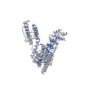 20146_6oo5_A_v1-2
Cryo-EM structure of the C2-symmetric TRPV2/RTx complex in amphipol resolved to 4.2 A