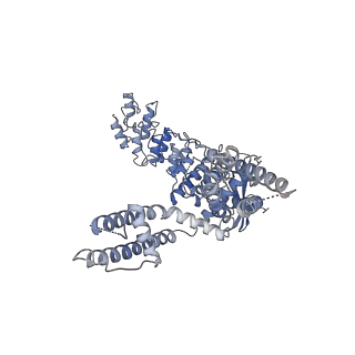 20146_6oo5_B_v1-1
Cryo-EM structure of the C2-symmetric TRPV2/RTx complex in amphipol resolved to 4.2 A