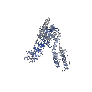 20146_6oo5_C_v1-1
Cryo-EM structure of the C2-symmetric TRPV2/RTx complex in amphipol resolved to 4.2 A
