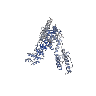 20146_6oo5_C_v1-2
Cryo-EM structure of the C2-symmetric TRPV2/RTx complex in amphipol resolved to 4.2 A