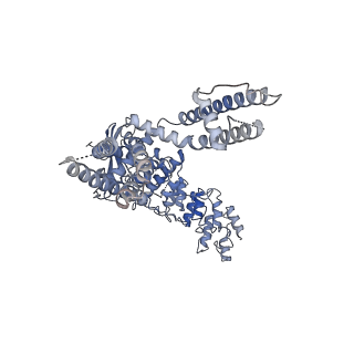 20146_6oo5_D_v1-2
Cryo-EM structure of the C2-symmetric TRPV2/RTx complex in amphipol resolved to 4.2 A