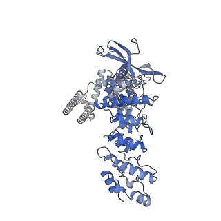 20148_6oo7_A_v1-2
Cryo-EM structure of the C2-symmetric TRPV2/RTx complex in nanodiscs