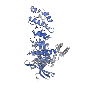 20148_6oo7_C_v1-1
Cryo-EM structure of the C2-symmetric TRPV2/RTx complex in nanodiscs