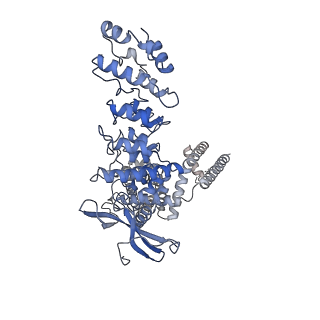 20148_6oo7_C_v1-2
Cryo-EM structure of the C2-symmetric TRPV2/RTx complex in nanodiscs