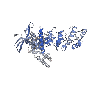 20148_6oo7_D_v1-1
Cryo-EM structure of the C2-symmetric TRPV2/RTx complex in nanodiscs