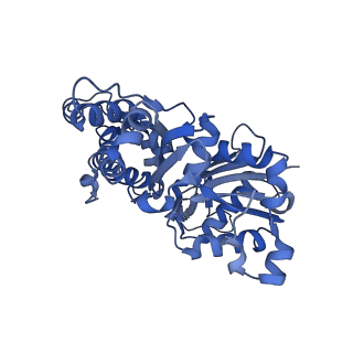 3836_5ooc_A_v1-1
Cryo-EM structure of jasplakinolide-stabilized F-actin in complex with ADP