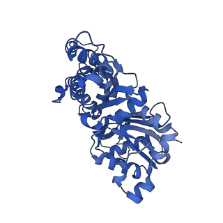 3836_5ooc_C_v1-1
Cryo-EM structure of jasplakinolide-stabilized F-actin in complex with ADP