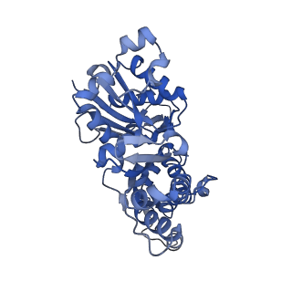 3837_5ood_B_v1-2
Cryo-EM structure of jasplakinolide-stabilized F-actin in complex with ADP-Pi