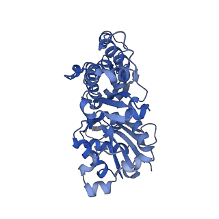 3837_5ood_C_v1-2
Cryo-EM structure of jasplakinolide-stabilized F-actin in complex with ADP-Pi