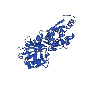 3838_5ooe_A_v1-0
Cryo-EM structure of F-actin in complex with AppNHp (AMPPNP)