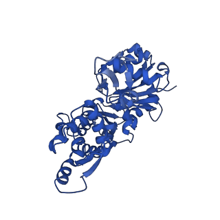 3838_5ooe_B_v1-0
Cryo-EM structure of F-actin in complex with AppNHp (AMPPNP)