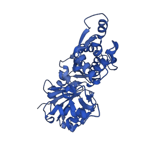 3838_5ooe_C_v1-0
Cryo-EM structure of F-actin in complex with AppNHp (AMPPNP)