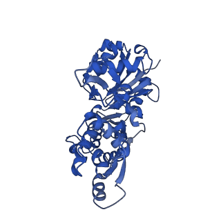 3838_5ooe_D_v1-0
Cryo-EM structure of F-actin in complex with AppNHp (AMPPNP)