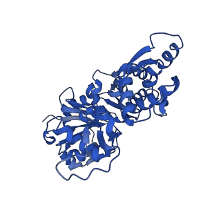 3839_5oof_A_v1-0
Cryo-EM structure of F-actin in complex with ADP-BeFx