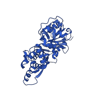 3839_5oof_B_v1-0
Cryo-EM structure of F-actin in complex with ADP-BeFx