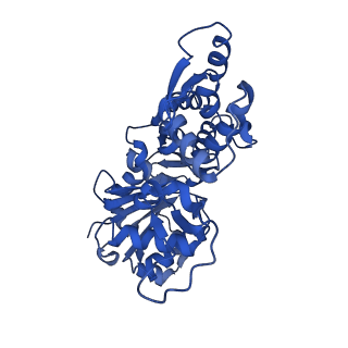 3839_5oof_C_v1-0
Cryo-EM structure of F-actin in complex with ADP-BeFx