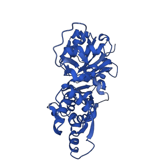 3839_5oof_D_v1-0
Cryo-EM structure of F-actin in complex with ADP-BeFx
