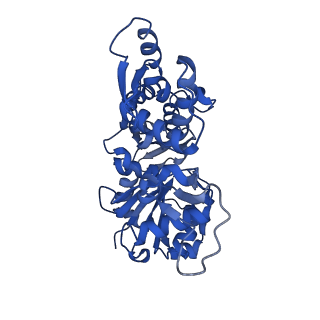 3839_5oof_E_v1-0
Cryo-EM structure of F-actin in complex with ADP-BeFx