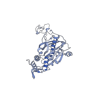 3842_5ool_5_v1-5
Structure of a native assembly intermediate of the human mitochondrial ribosome with unfolded interfacial rRNA