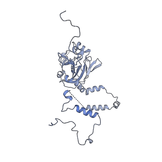 3842_5ool_6_v1-5
Structure of a native assembly intermediate of the human mitochondrial ribosome with unfolded interfacial rRNA