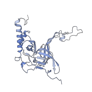 3842_5ool_E_v1-5
Structure of a native assembly intermediate of the human mitochondrial ribosome with unfolded interfacial rRNA