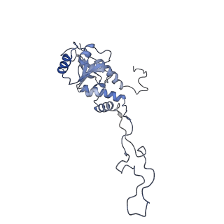 3842_5ool_F_v1-5
Structure of a native assembly intermediate of the human mitochondrial ribosome with unfolded interfacial rRNA