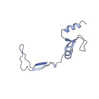 3842_5ool_H_v1-5
Structure of a native assembly intermediate of the human mitochondrial ribosome with unfolded interfacial rRNA
