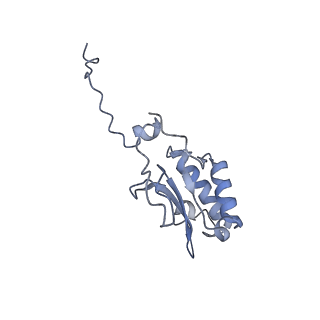 3842_5ool_P_v1-5
Structure of a native assembly intermediate of the human mitochondrial ribosome with unfolded interfacial rRNA