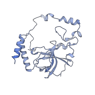 3842_5ool_Q_v1-5
Structure of a native assembly intermediate of the human mitochondrial ribosome with unfolded interfacial rRNA