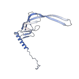 3842_5ool_S_v1-5
Structure of a native assembly intermediate of the human mitochondrial ribosome with unfolded interfacial rRNA