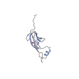 3842_5ool_W_v1-5
Structure of a native assembly intermediate of the human mitochondrial ribosome with unfolded interfacial rRNA
