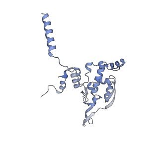 3842_5ool_X_v1-5
Structure of a native assembly intermediate of the human mitochondrial ribosome with unfolded interfacial rRNA