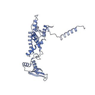 3842_5ool_c_v1-5
Structure of a native assembly intermediate of the human mitochondrial ribosome with unfolded interfacial rRNA