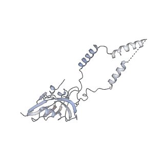3842_5ool_e_v1-5
Structure of a native assembly intermediate of the human mitochondrial ribosome with unfolded interfacial rRNA
