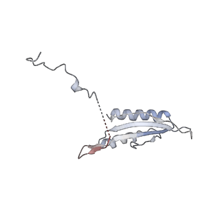 3842_5ool_f_v1-5
Structure of a native assembly intermediate of the human mitochondrial ribosome with unfolded interfacial rRNA