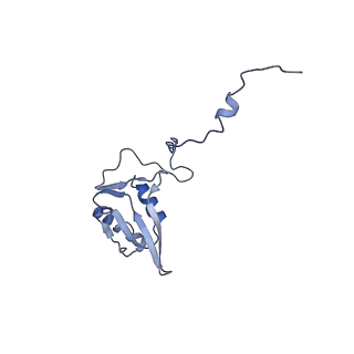 3842_5ool_g_v1-5
Structure of a native assembly intermediate of the human mitochondrial ribosome with unfolded interfacial rRNA