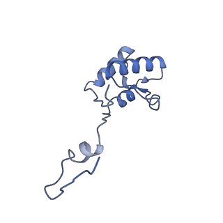 3842_5ool_h_v1-5
Structure of a native assembly intermediate of the human mitochondrial ribosome with unfolded interfacial rRNA