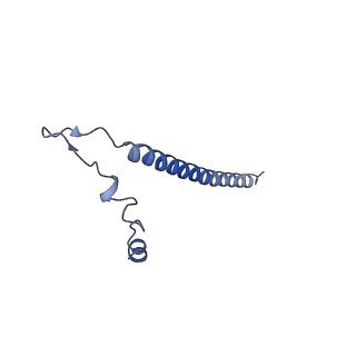3842_5ool_j_v1-5
Structure of a native assembly intermediate of the human mitochondrial ribosome with unfolded interfacial rRNA
